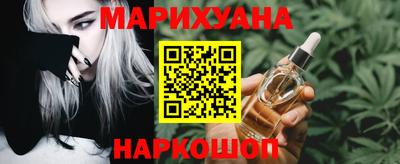 крисы Новодвинск
