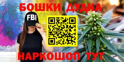 гашик Новокубанск