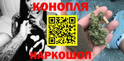 гашик Новокубанск