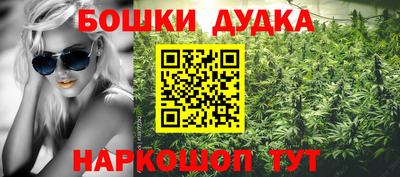 ECSTASY Новозыбков
