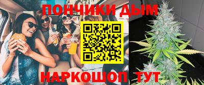 ECSTASY Новозыбков