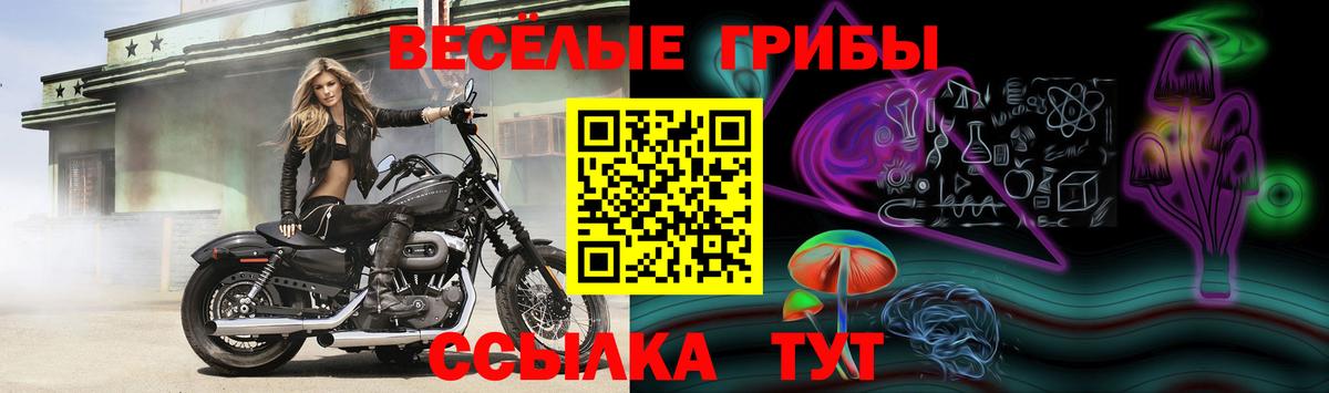 Галлюциногенные грибы Magic Shrooms  Вход с VPN  Тимашёвск 